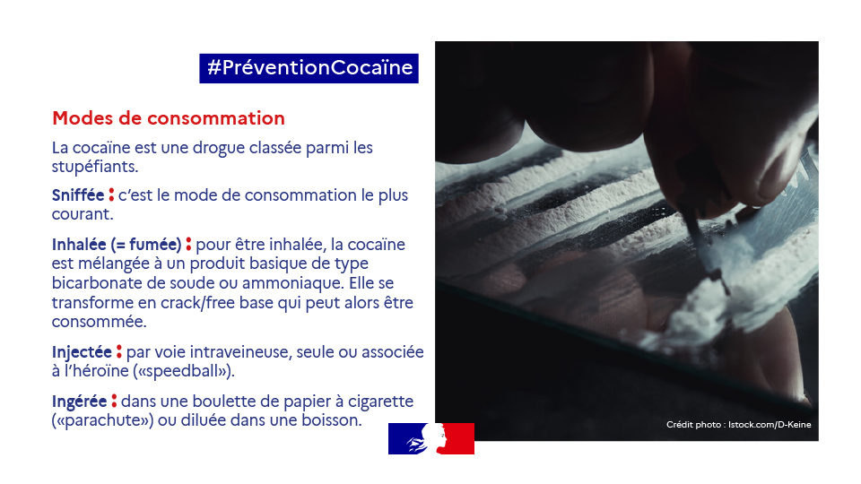 Campagne cocaïne vignette 3
